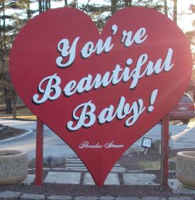 My Valentine's Day Vacation At Paradise Stream