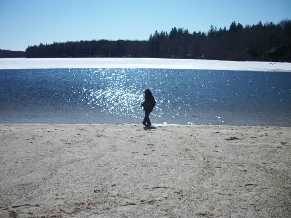 Things to Do in the Poconos: Promised Land State Park