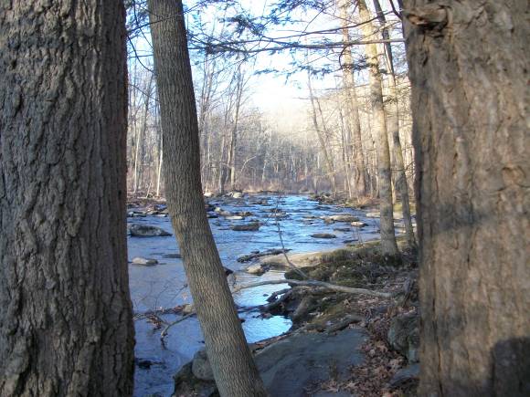 Adventures in Nature- Exploring the Poconos