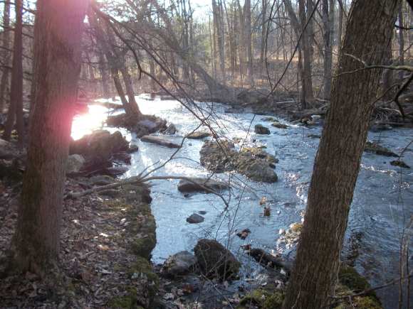 Adventures in Nature- Exploring the Poconos