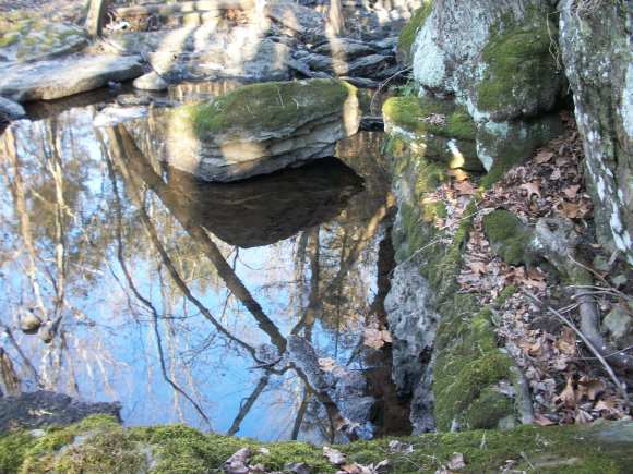 Adventures in Nature- Exploring the Poconos