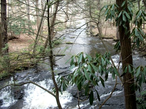 Bushkill Falls (The Niagara Of Pennsylvania): Fun Things To Do in The Poconos