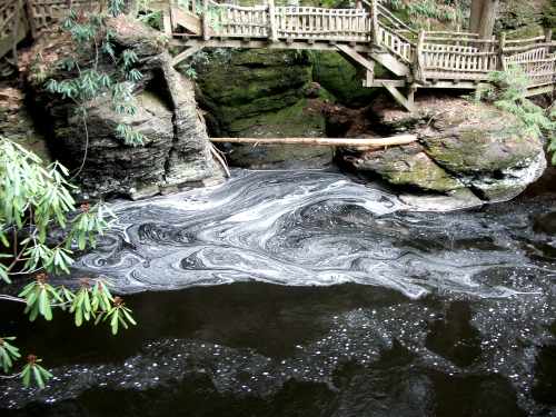 Bushkill Falls (The Niagara Of Pennsylvania): Fun Things To Do in The Poconos