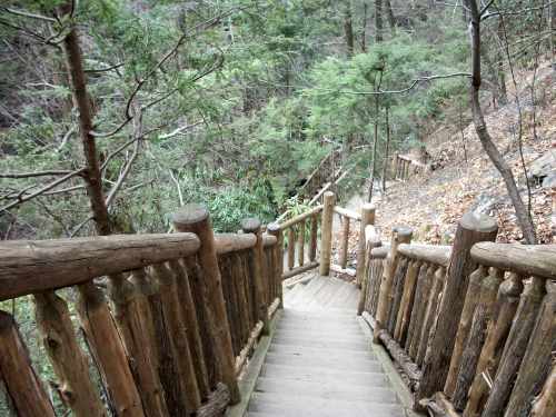 Bushkill Falls (The Niagara Of Pennsylvania): Fun Things To Do in The Poconos
