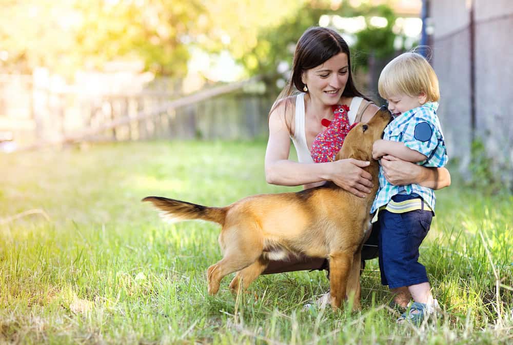 How Adoption Can Come in All Shapes and Sizes