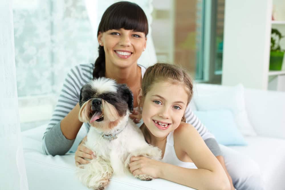 Why a Clean Home is Essential for Raising a Healthy Pet