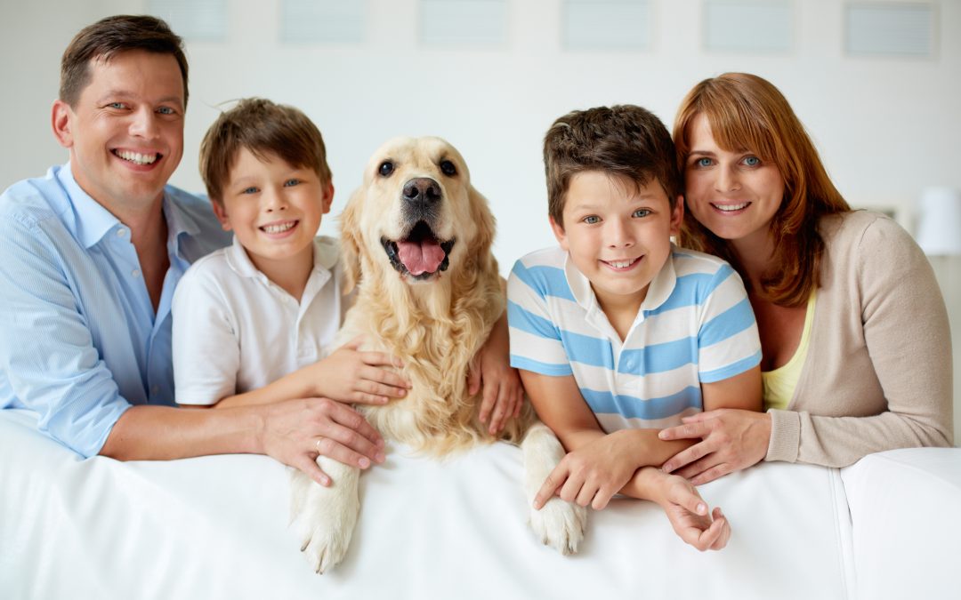 22 Must-Have Home Pet Products