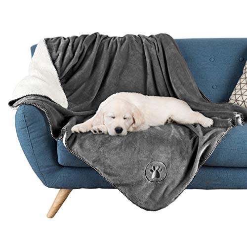 10 Things to Put in a "Welcome to the Family" New Dog Gift Basket 32 10 Things to Put in a "Welcome to the Family" New Dog Gift Basket