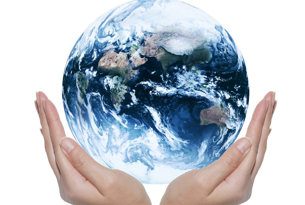 How to Live Your Life More Sustainably