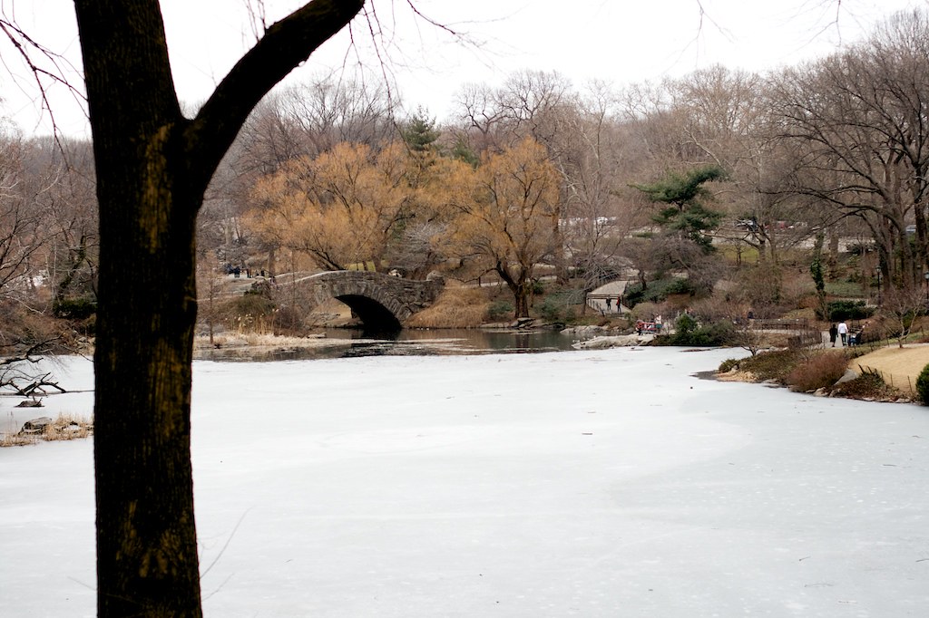 Central Park in NYC