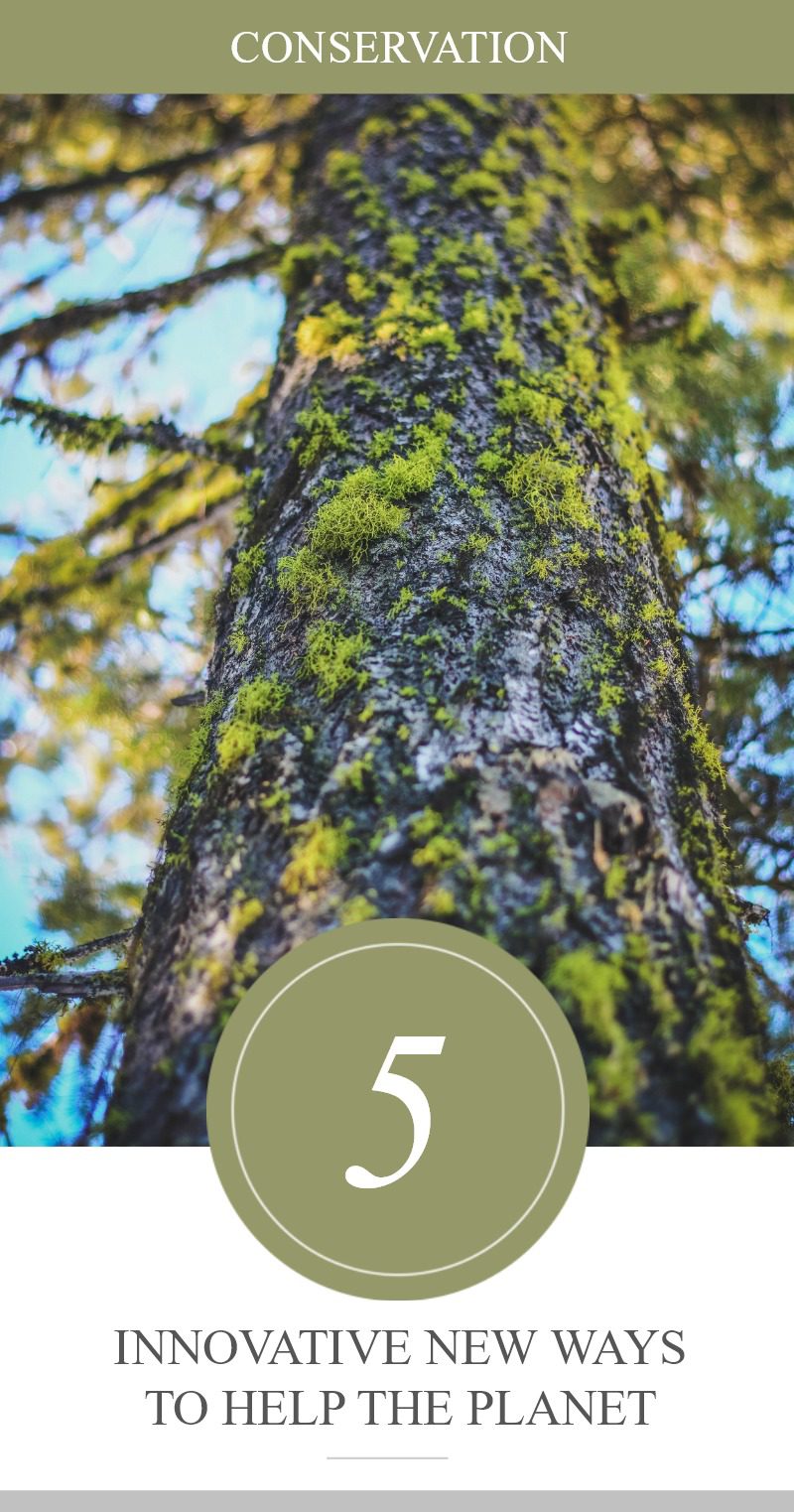 5 Innovative Ways We Can Work Together to Help Save the Planet