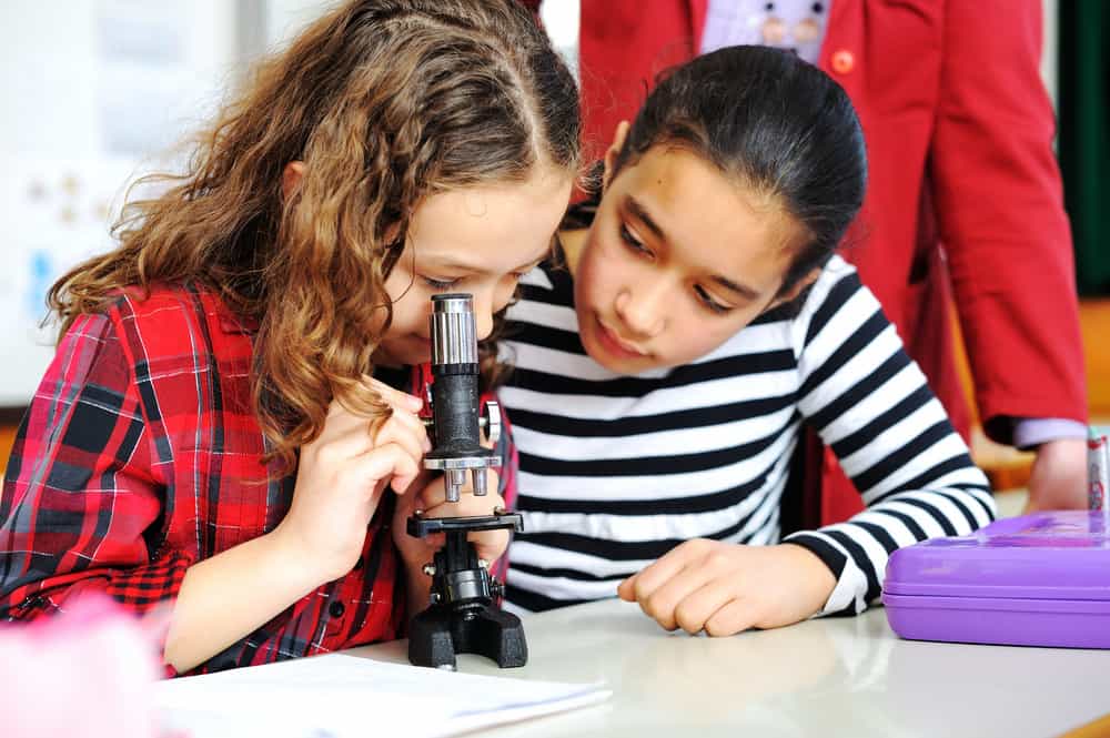 Support Your Child’s Education With These At-Home Tips