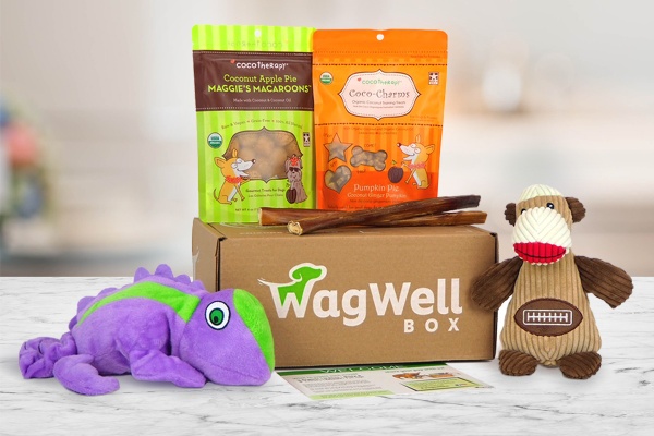 WagWell Box