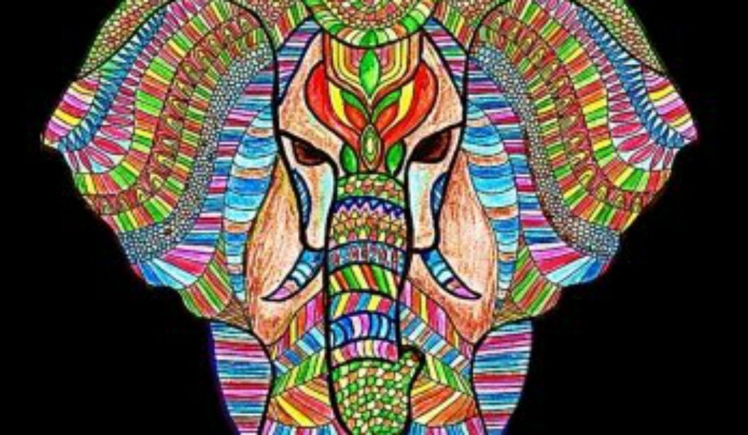 9 Stunning Adult Coloring Books With Animals You’ll Love