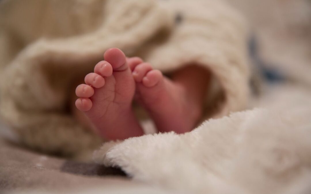 How AI and Technology Are Improving Assisted Reproduction Success Rates