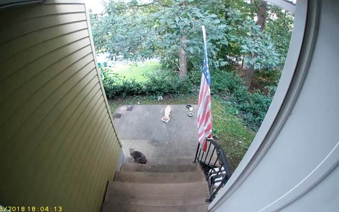 Spy on the World Beyond Your Front Door with HomeHawk by Panasonic!