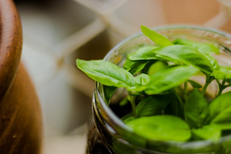 Now that spring has officially sprung, it's time to get those gardens going! This year, skip the expensive store-bought planters and save a load of money (while helping the environment) with these DIY and upcycled planters.