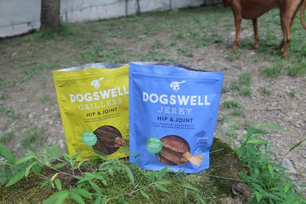 Planning a new puppy gift basket for to welcome home a new dog? I've got you covered! Read on for ten things that every dog parent needs (but may not even realize it).
