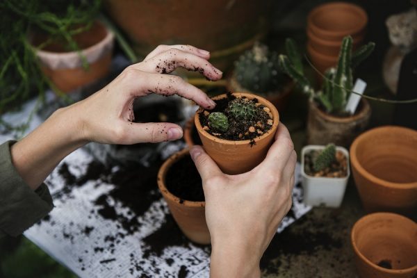 10 Perfect Mother's Day Gift Ideas for Gardeners