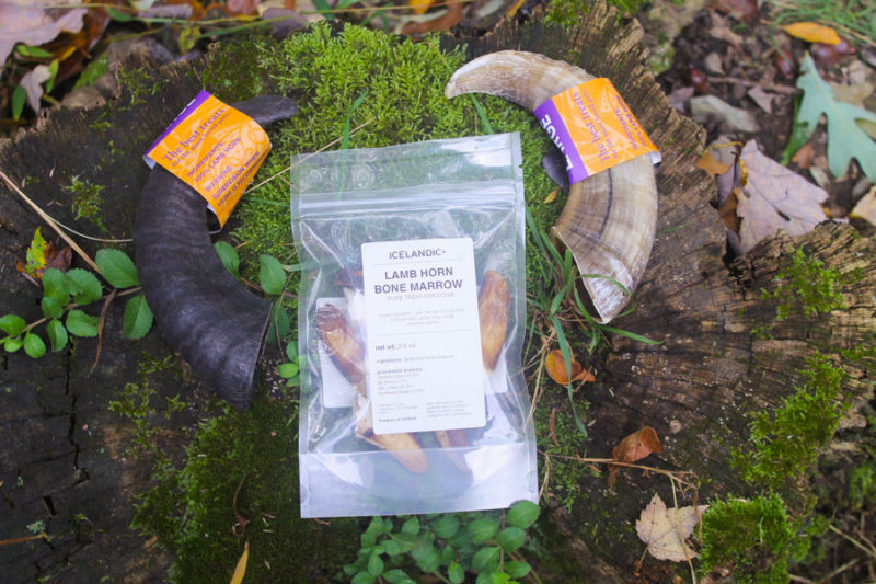 How do you calm down a high-energy dog like my Pharaoh Hound in just one step? Hand her an Icelandic+ Lamb Horn Dog Treat!