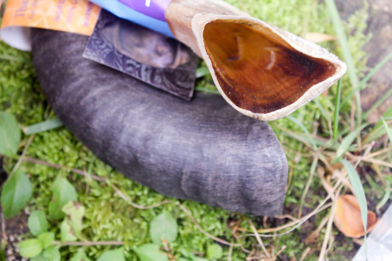 How do you calm down a high-energy dog like my Pharaoh Hound in just one step? Hand her an Icelandic+ Lamb Horn Dog Treat!