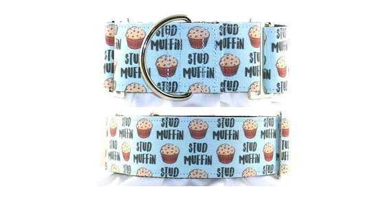 2 inch blue Stud Muffin greyhound martingale dog collar