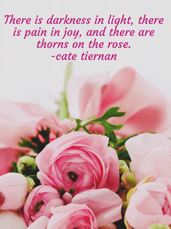 Remind yourself that there is a little beauty and mystery everywhere with these inspirational quotes about magic. 