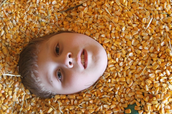 Family Fun at Mazezilla Pumpkin Patch at Klingel’s Farm