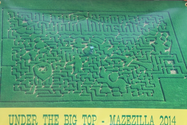 Mazezilla Pumpkin Patch at Klingel Farm