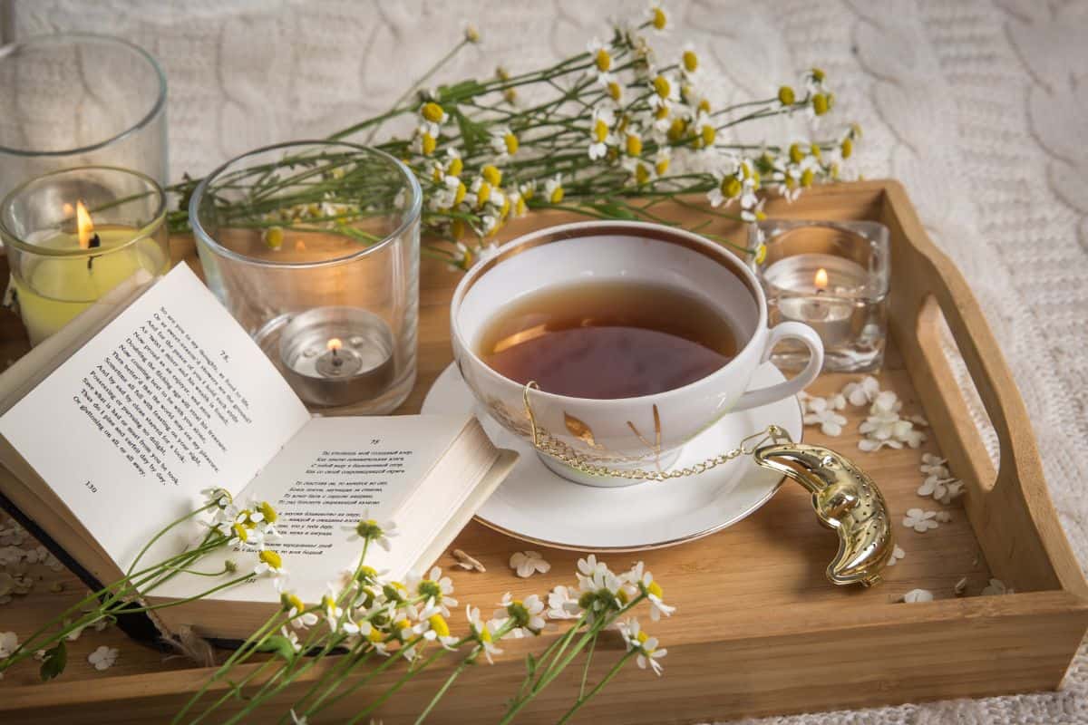 Moringa Leaf Tea vs Green Tea