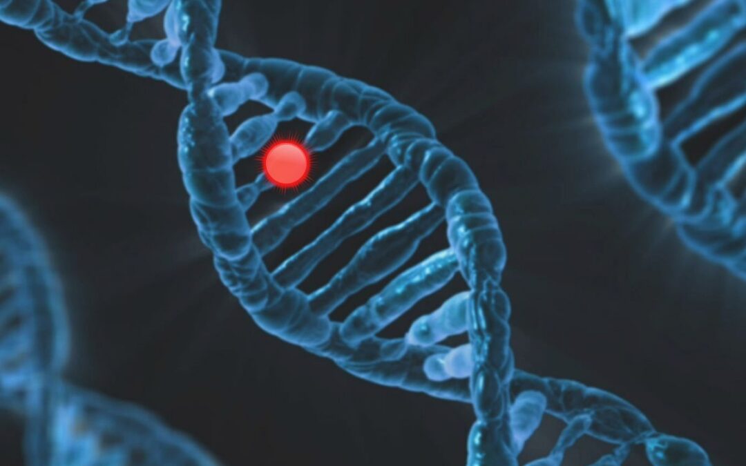 How PGT Impacts Twin and Single Embryo Transfer Decisions