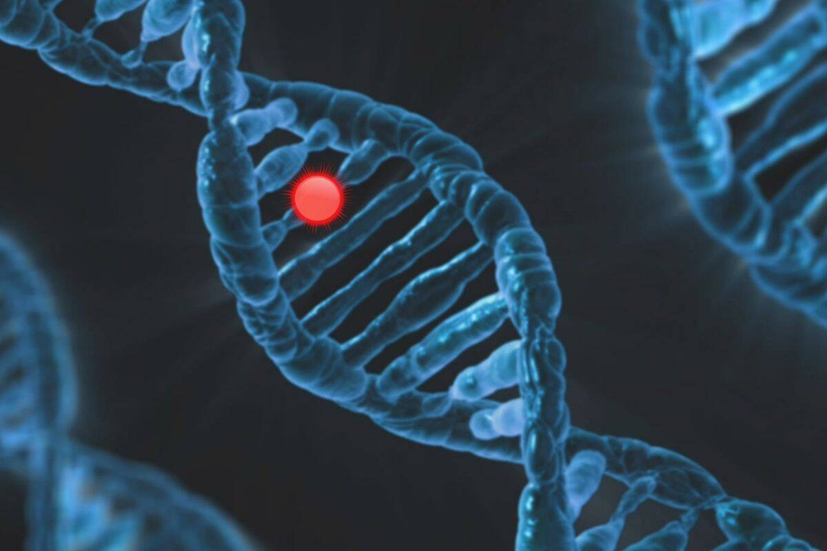 How PGT Impacts Twin and Single Embryo Transfer Decisions
