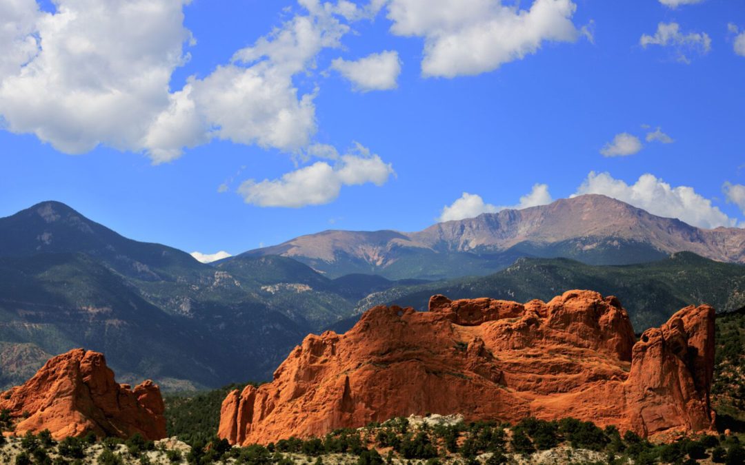 An Animal Lover’s Guide to Colorado Springs