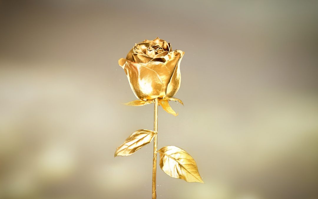 10 Romantic Gift Ideas Your Wife Will Absolutely Love