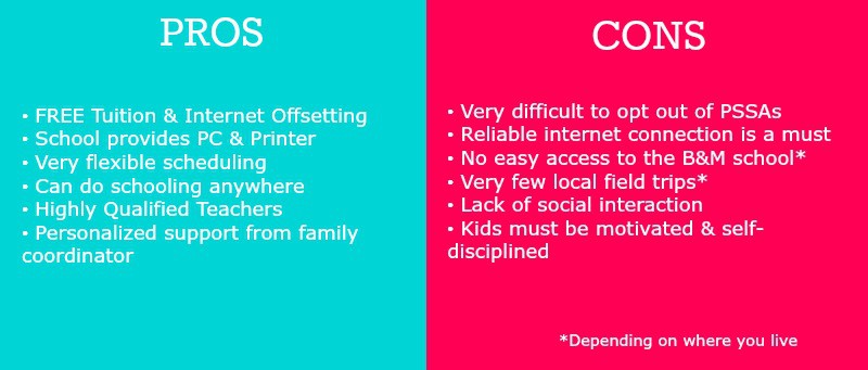 Complete & Unbiased REACH Cyber Charter School Review (A Connections Academy School)