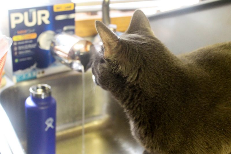 Do You Know What's In Your Water? Here's How to Find Out!