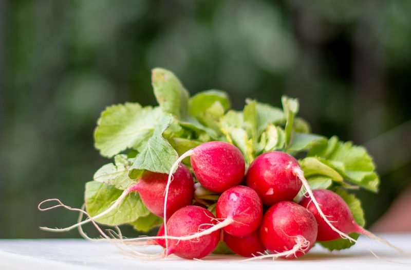 Want to stop being part of the food waste problem and start being part of the solution? Choose more foods that allow you to use the entire thing, like these 10 root to stalk veggies! Bonus points if you grow them yourself!