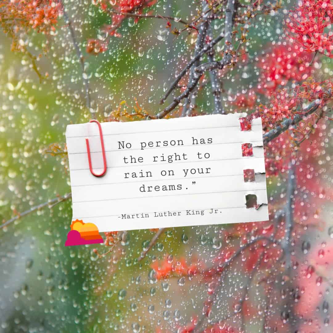 “No person has the right to rain on your dreams.” ― Martin Luther King Jr.