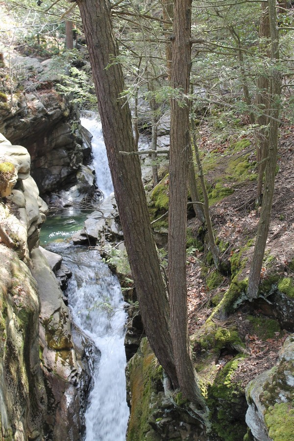 Isn’t it amazing that you can find places like this just a short drive from the city? Seven Tubs Natural Area in Luzern Country, PA is a stunning place to get away from it all. 