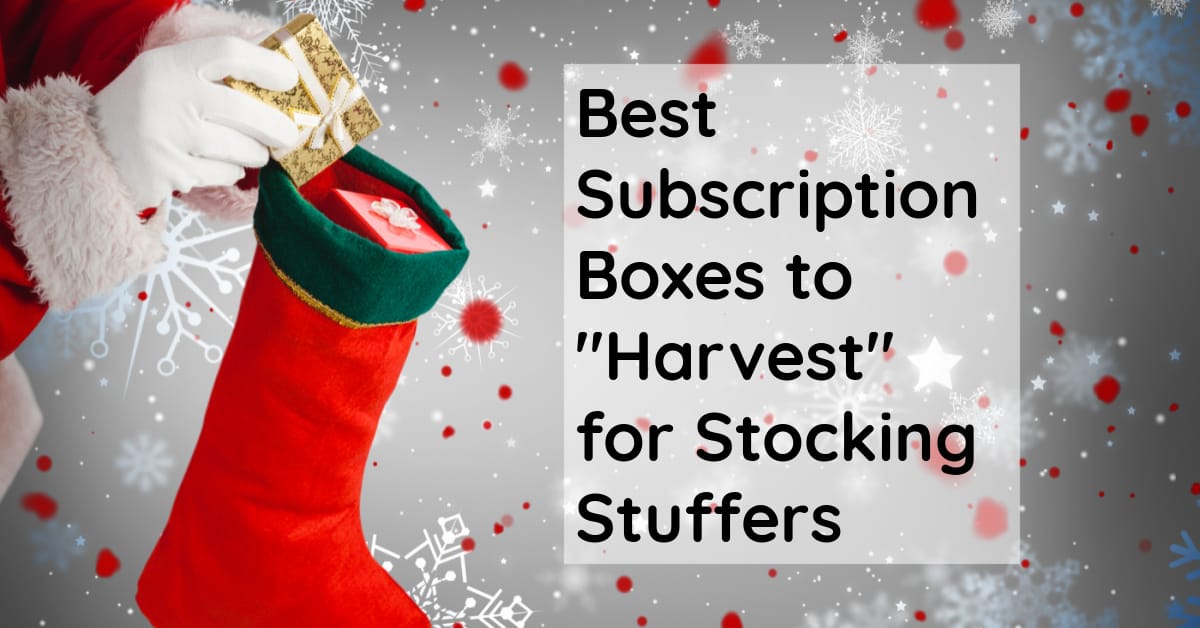 Top 16 Subscription Boxes to “Harvest” for Stocking Stuffers
