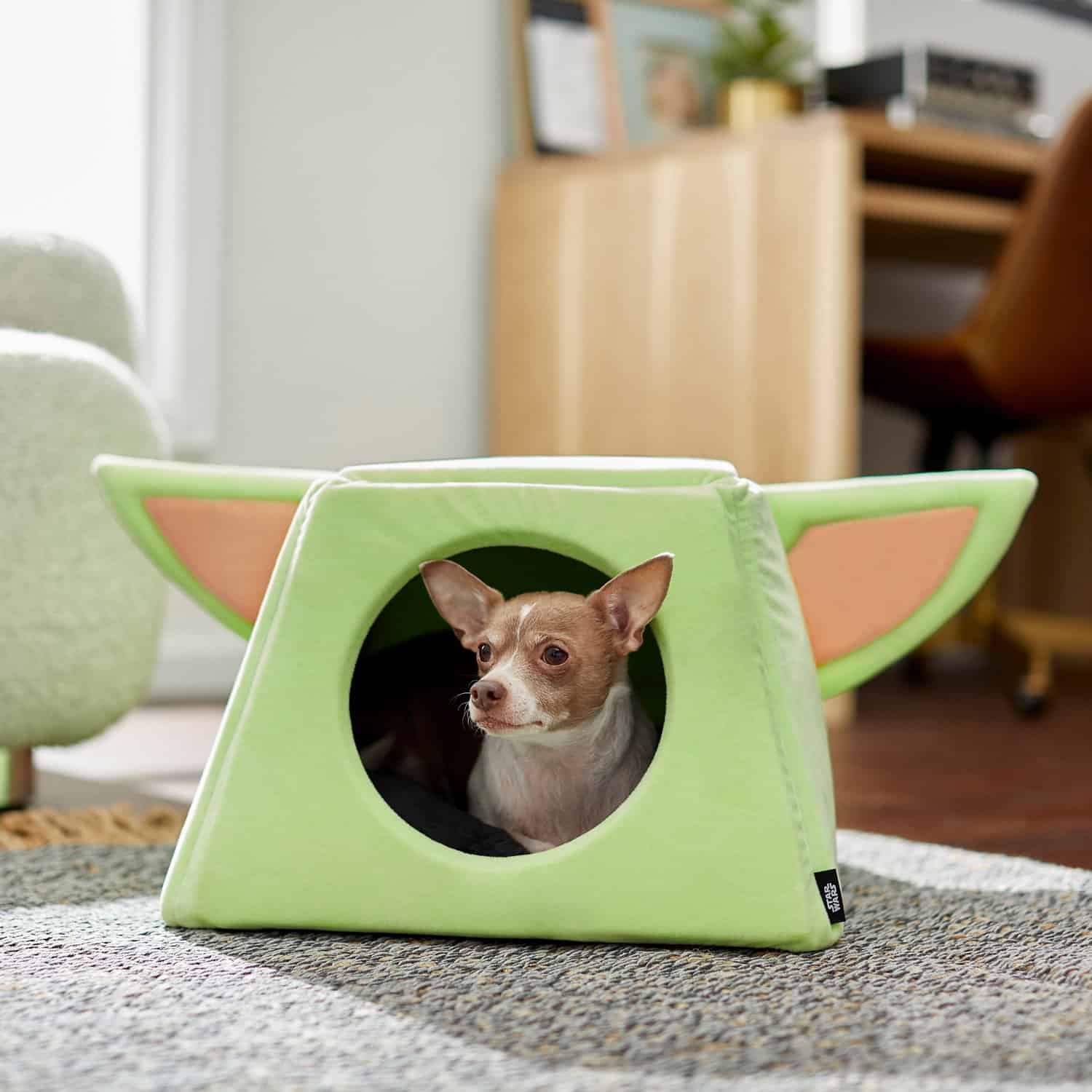  THE CHILD Covered Dog Bed for XS Toy Breeds