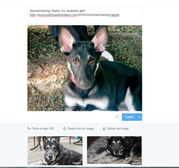 TwitShot