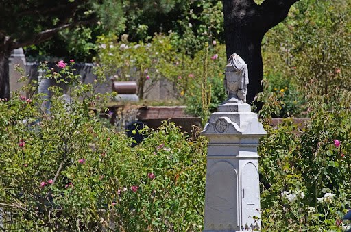 What Options Do You Have For Your Body Post Mortem?