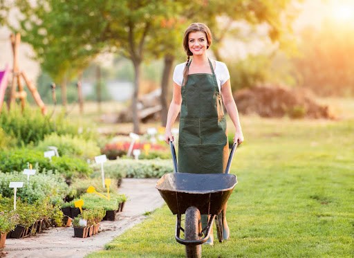 How Will You Transform Your Yard This Upcoming Spring?
