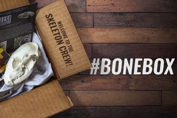 10 Weird Subscription Boxes for Wonderfully Quirky People 13 Skulls Unlimited International, Inc.