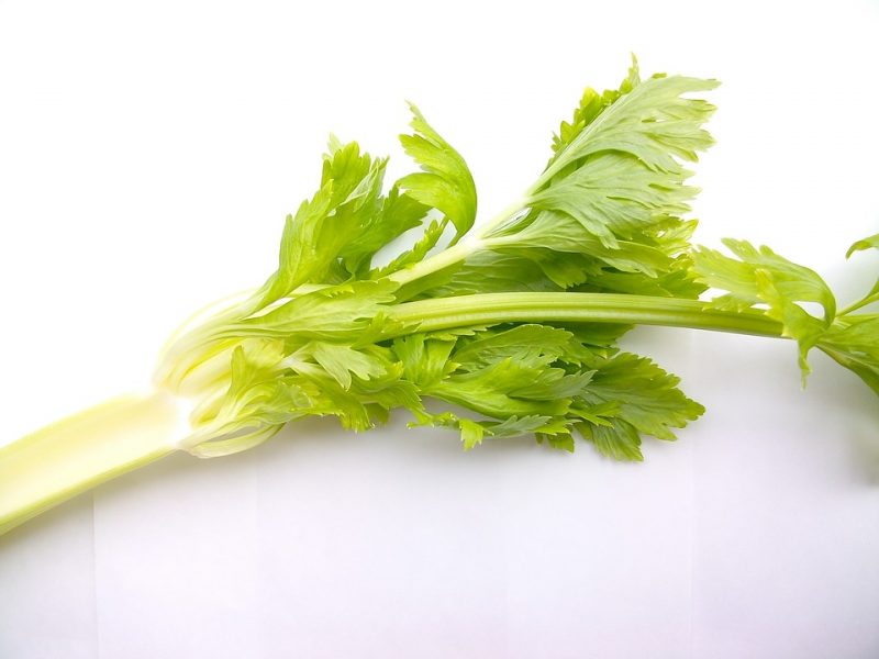 Want to stop being part of the food waste problem and start being part of the solution? Choose more foods that allow you to use the entire thing, like these 10 root to stalk veggies! Bonus points if you grow them yourself!