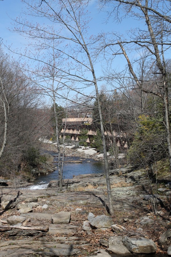 Woodlands from Bridge