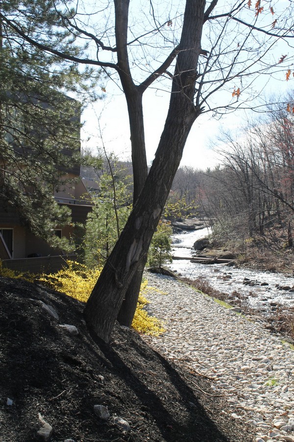 You’ll be amazed at how the Woodlands Inn managed to tuck away a piece of paradise in the middle of a busy area. There’s really nothing like it in the Wilkes-Barre/Scranton area! 