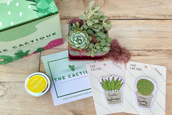 15 Amazing Subscription Box Deals to Snag During the Cratejoy Christmas in July Sale 2022 14 The Cactique