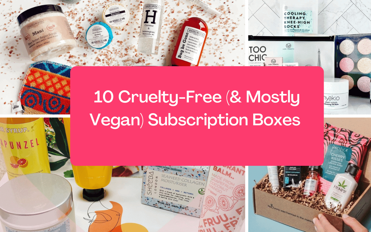 10 Cruelty-Free Makeup and Skincare Subscription Boxes 2 10 Cruelty-Free Makeup and Skincare Subscription Boxes